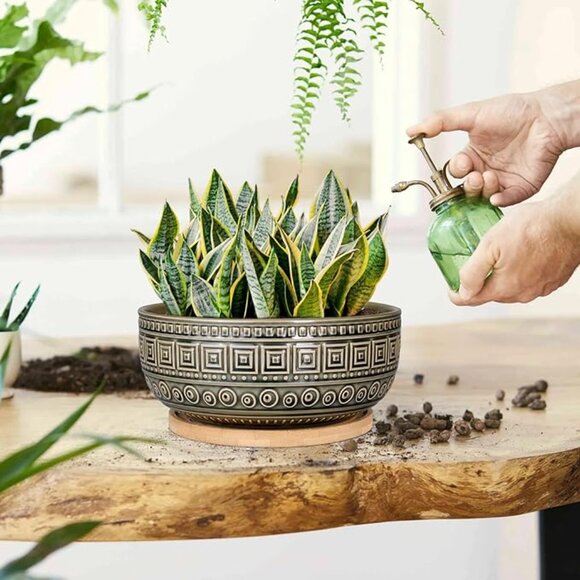 G EPGardening 8" Ceramic Succulent Planter | Gray w/ Bamboo Saucer - Picture 4 of 4